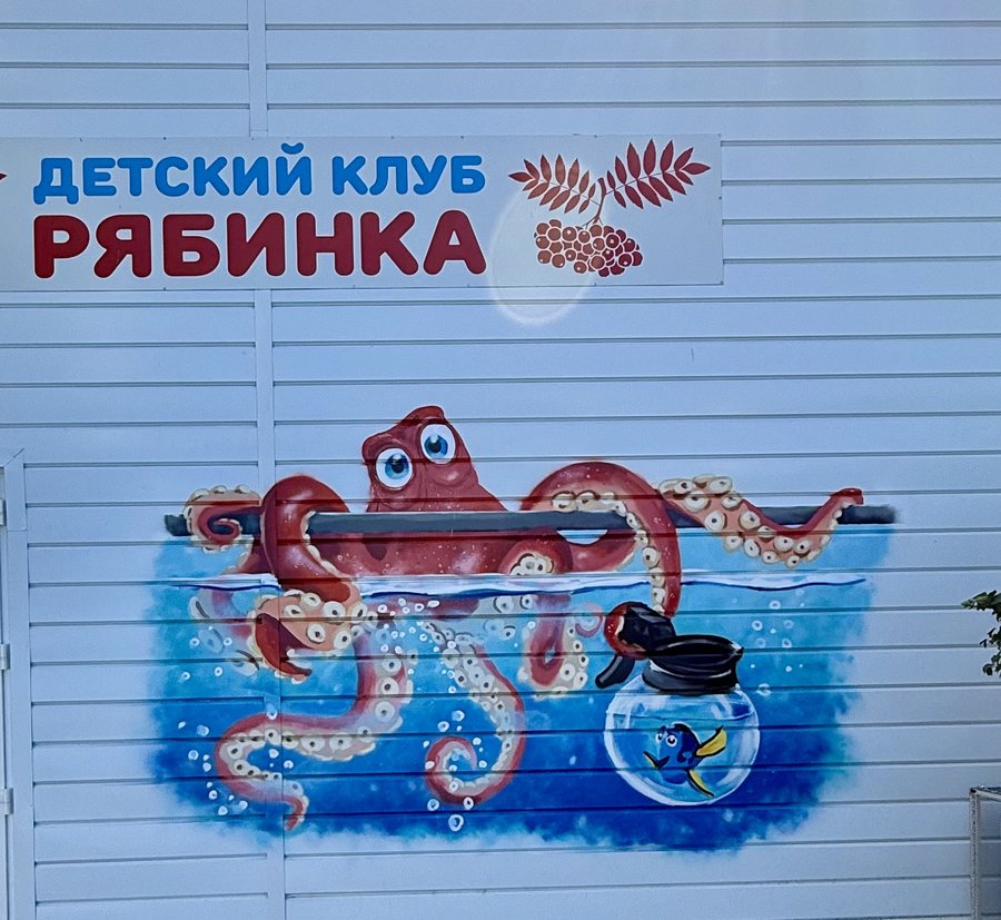 Детский клуб «Рябинка» — лабиринт и батуты — фото 7